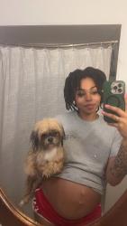 Lost Female Dog last seen Ballenger and flushing, Flint, MI 48503
