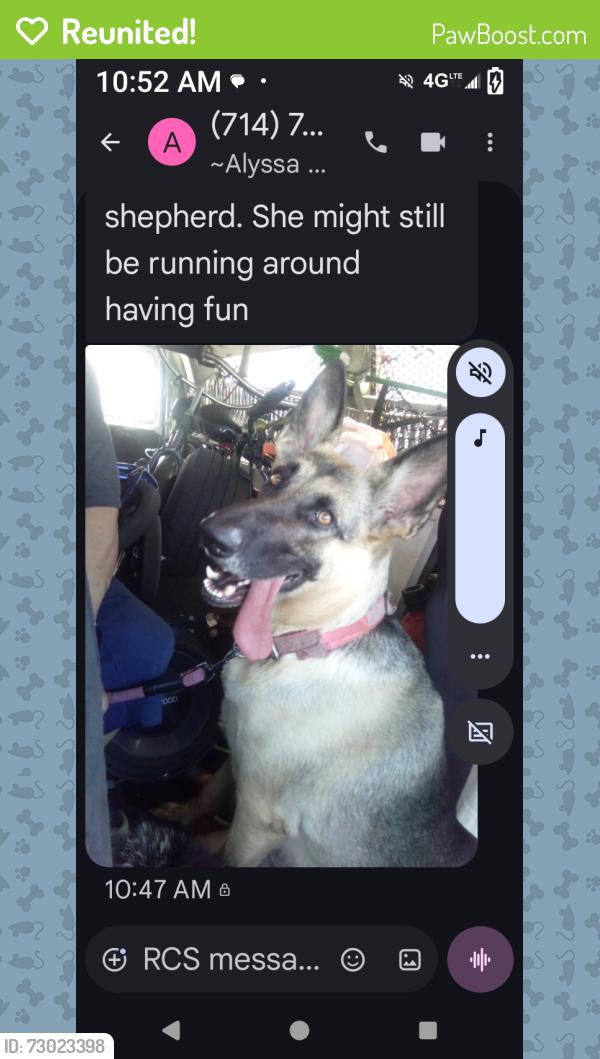 Reunited Female Dog last seen Harbor and wilken way, Anaheim, CA 92802