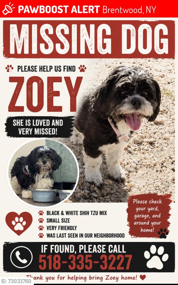 Lost Female Dog last seen Grand boulevard , Brentwood, NY 11717