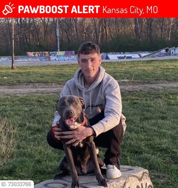Lost Male Dog last seen Near Claycomo engine rebuilders across from Claycomo police station, Kansas City, MO 64119
