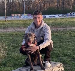 Lost Male Dog last seen Near Claycomo engine rebuilders across from Claycomo police station, Kansas City, MO 64119