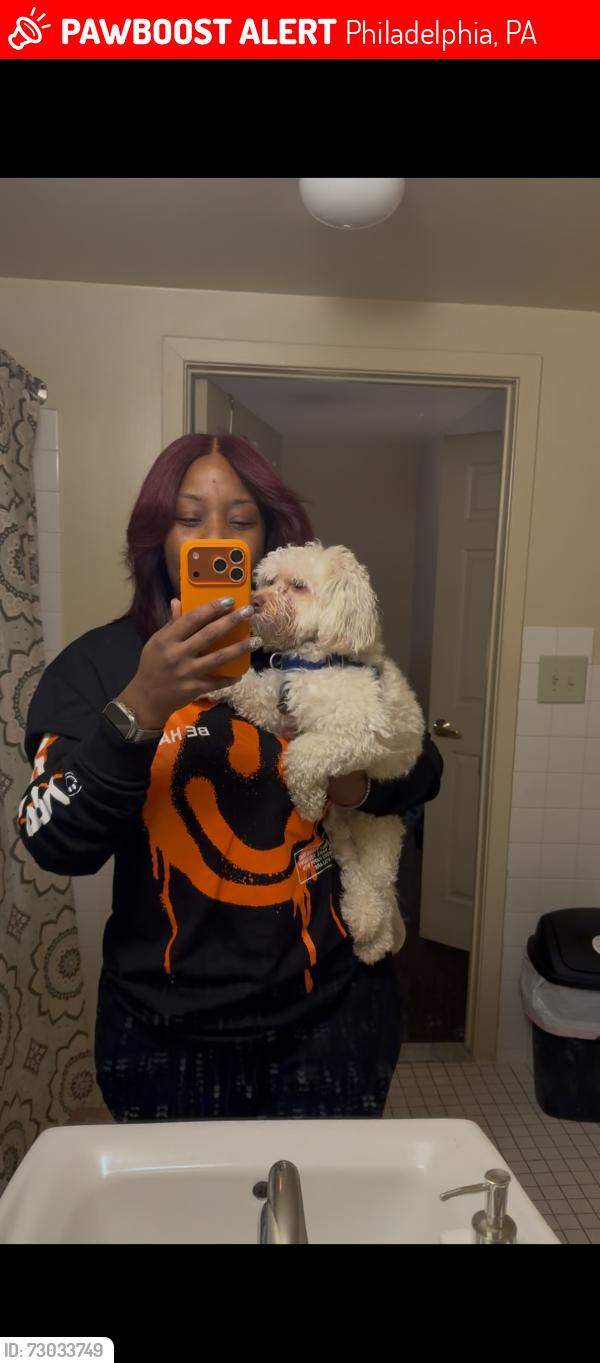 Lost Male Dog last seen Chester ave & S 60th St, Philadelphia, PA 19142