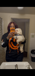 Lost Male Dog last seen Chester ave & S 60th St, Philadelphia, PA 19142