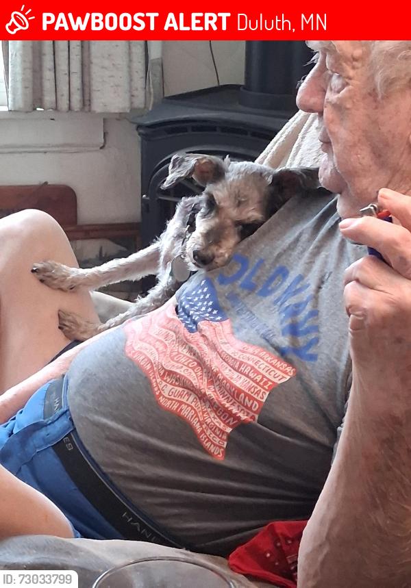 Lost Female Dog last seen Near ave west and nicolette, Duluth, MN 55807
