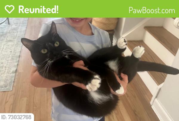 Reunited Male Cat last seen Magnolia drive Hamilton NJ, Hamilton Township, NJ 08610