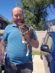 Reunited Female Cat last seen 8th street and Center Street, Gloucester City, NJ 08030