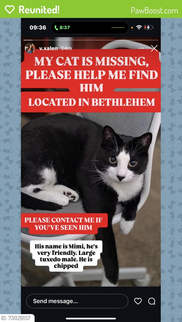 Reunited Male Cat last seen Goppe , Bethlehem, PA 18018