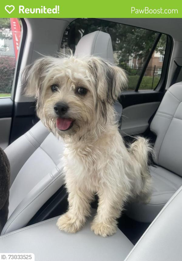 Reunited Unknown Dog last seen Craigwood Drive, Charlotte, NC 28215