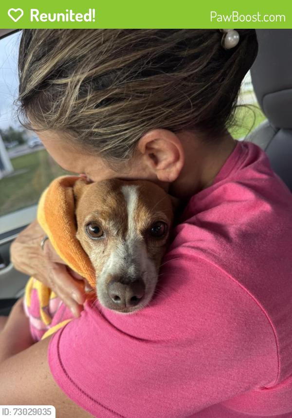 Reunited Female Dog last seen Michigan Ave & 3rd Ave , Lynn Haven, FL 32444