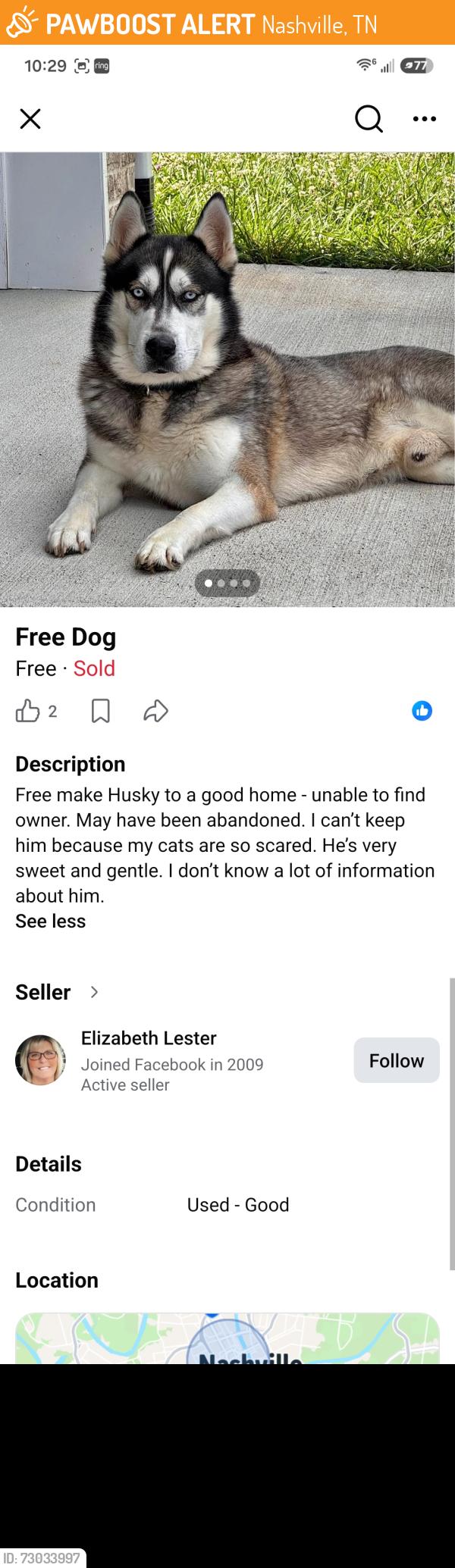 Found/Stray Male Dog last seen North nashville, Nashville, TN 37208
