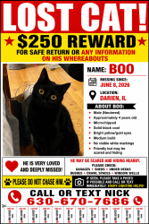 Lost Male Cat last seen Plainfield rd, Darien, IL 60561