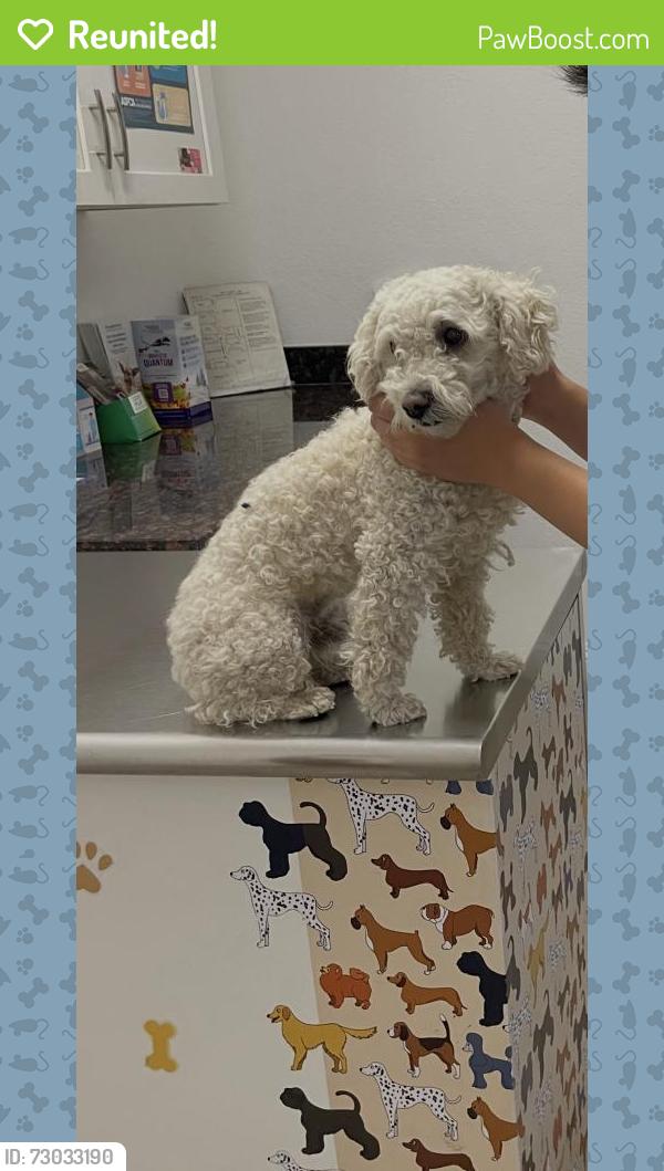 Reunited Male Dog last seen Marten Ave, San Jose, CA, USA, San Jose, CA 95148
