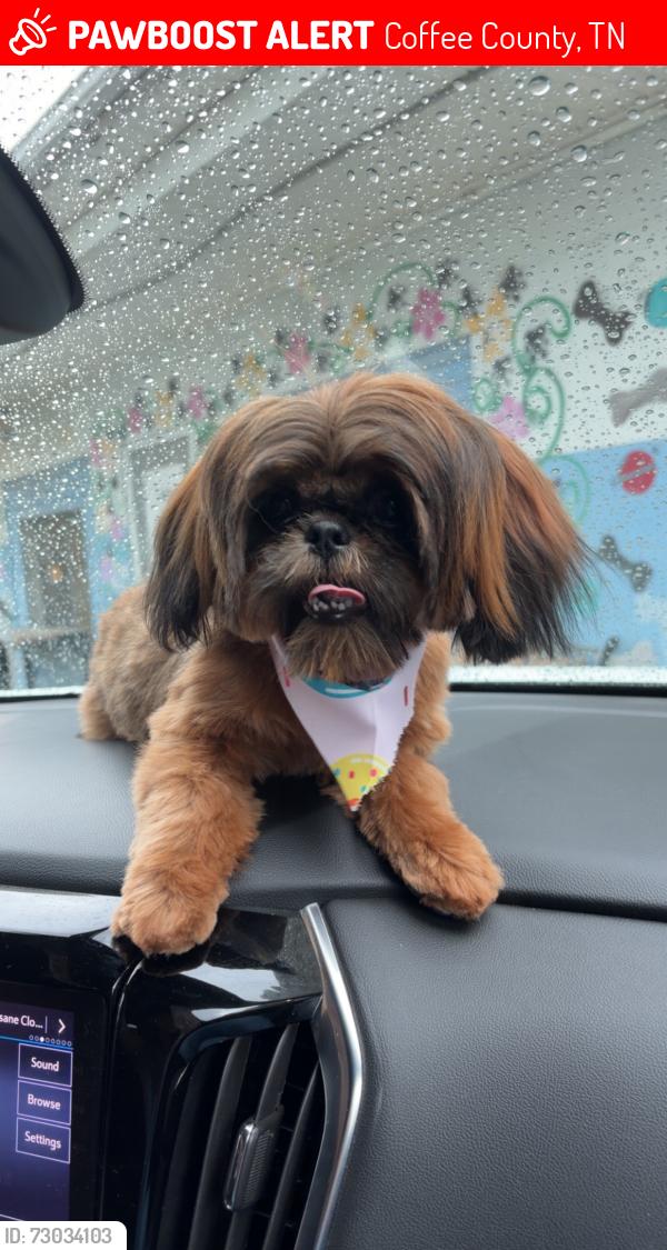 Lost Male Dog last seen Old stone fort , Coffee County, TN 37355
