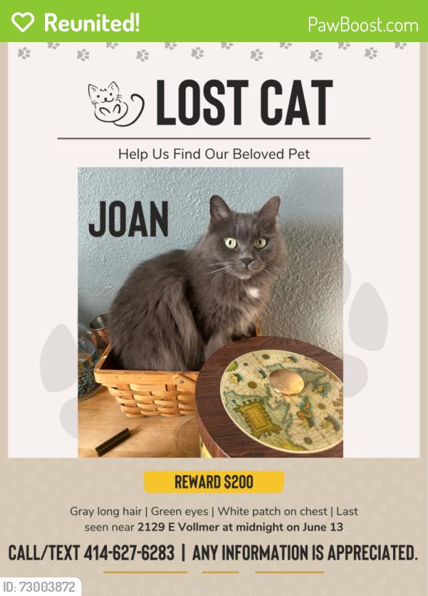 Reunited Female Cat last seen Kinnickinnic, Milwaukee, WI 53207