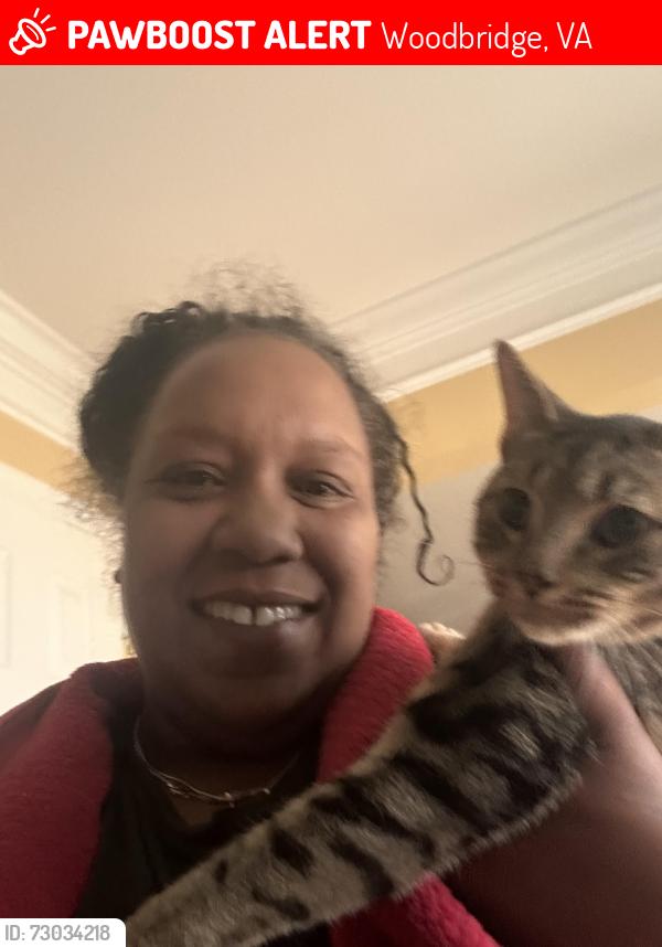 Lost Male Cat last seen Kendall Dr , Woodbridge, VA 22193