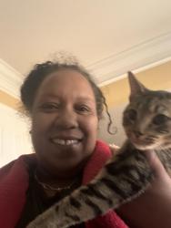 Lost Male Cat last seen Kendall Dr , Woodbridge, VA 22193