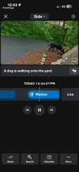 Found/Stray Unknown Dog last seen Lantern, Indianapolis, IN 46256
