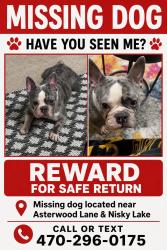 Reunited Male Dog last seen Asterwood Ln, Atlanta, GA 30331, USA, Atlanta, GA 30331
