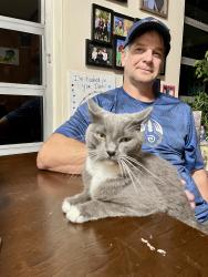 Lost Female Cat last seen Chamberlain , Fort Pierce, FL 34946