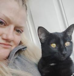 Lost Female Cat last seen 22nd ave west & west Armour st, Seattle, WA 98199