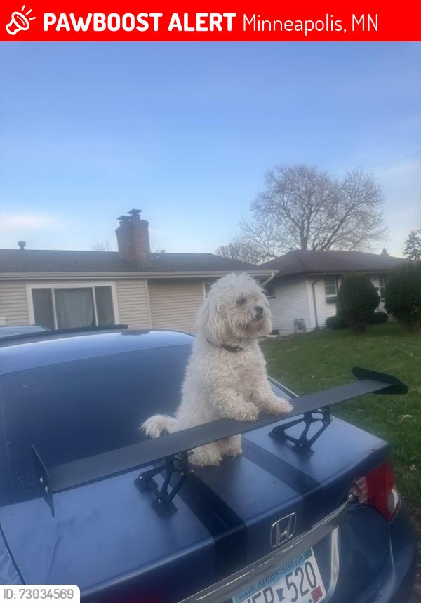 Lost Male Dog last seen Lado parque, Minneapolis, MN 55421