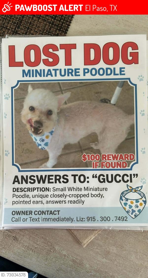 Lost Male Dog last seen Hueco tanks, El Paso, TX 79938