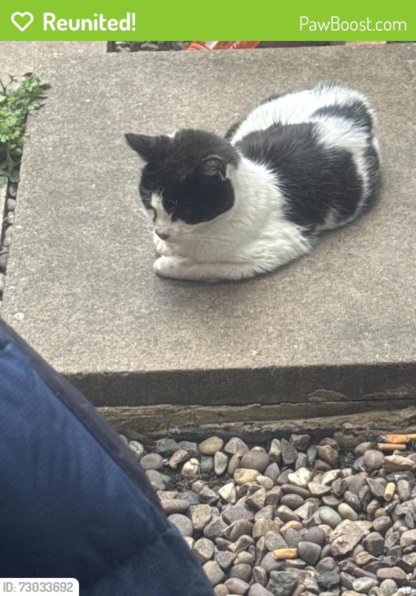 Reunited Unknown Cat last seen Florence rd, West Midlands, England B27