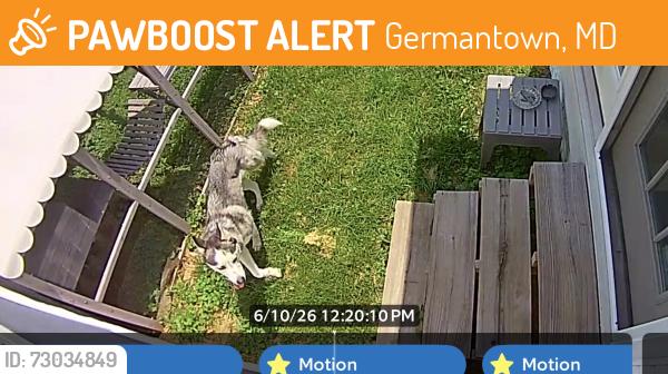 Found/Stray Unknown Dog last seen Tatani / northern dancer lane , Germantown, MD 20841