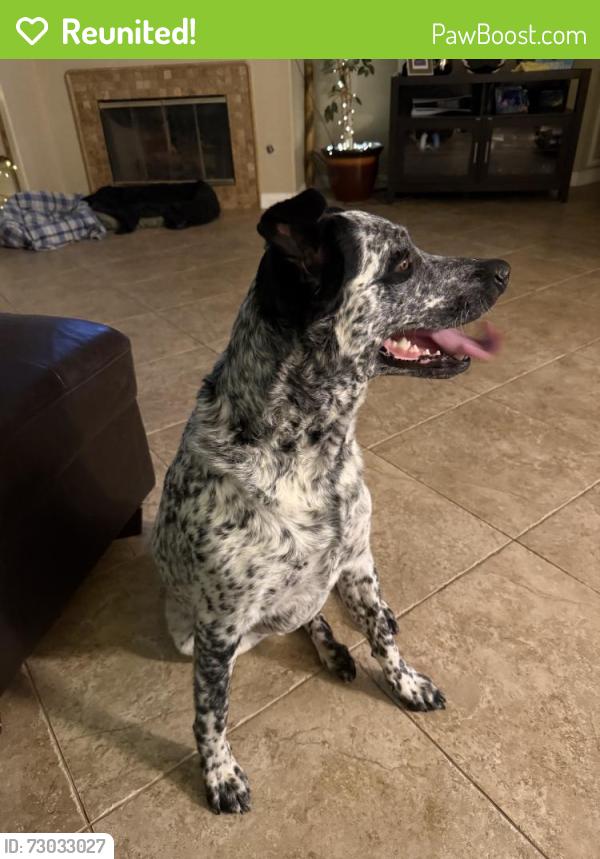 Reunited Female Dog last seen Near W Vista Way, Vista, CA 92083, USA, Vista, CA 92083