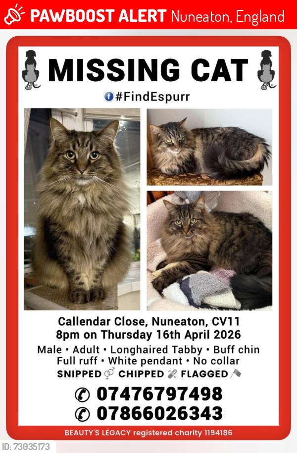 Lost Male Cat last seen Callendar Close, Nuneaton, England 