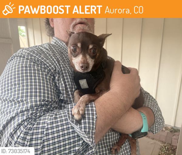 Found/Stray Male Dog last seen Peoria and Yale, Aurora, CO 80014