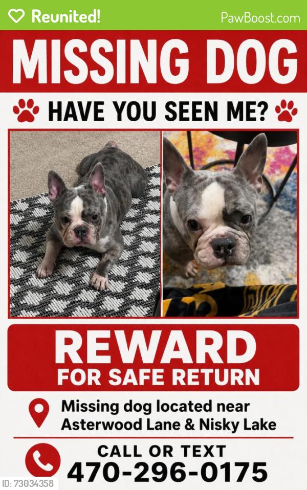 Reunited Male Dog last seen Asterwood Ln, Atlanta, GA 30331, USA, Atlanta, GA 30331