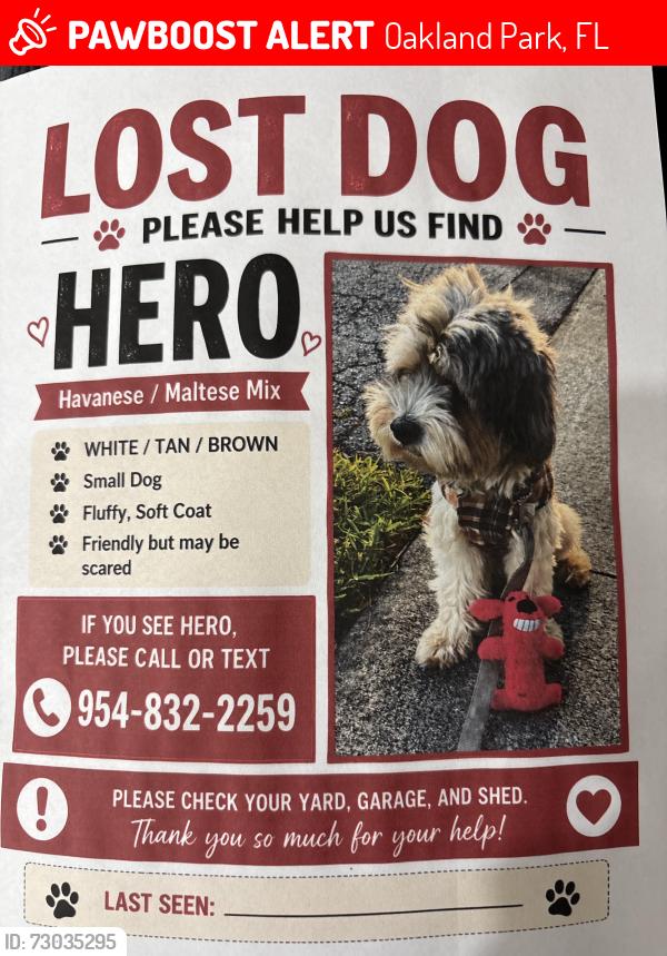 Lost Male Dog last seen floanada road, Oakland Park, FL 33334