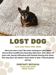Lost Female Dog last seen Jefferson & Huron river on Labo Island, Brownstown Township, MI 48173
