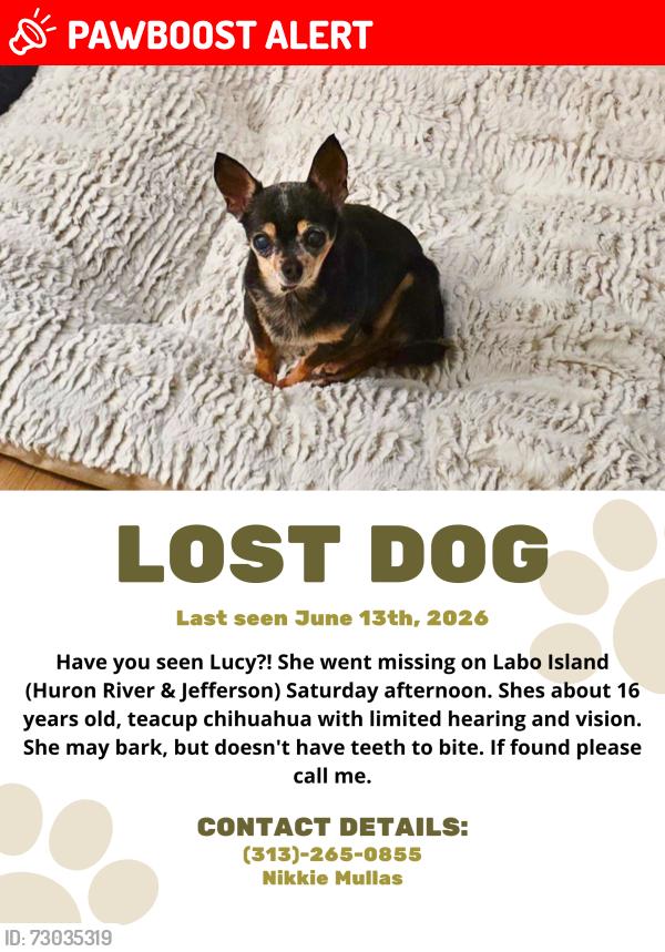 Lost Female Dog last seen Jefferson & Huron river on Labo Island, Brownstown Township, MI 48173