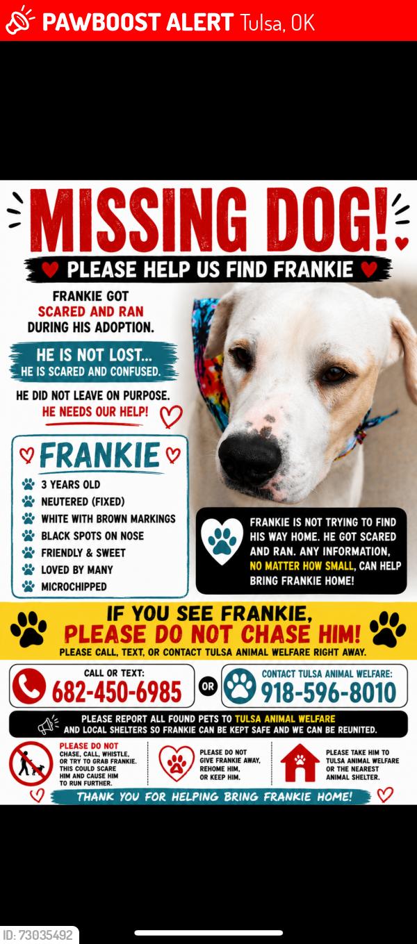 Lost Male Dog last seen Animal shelter, Tulsa, OK 74115