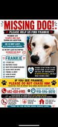 Lost Male Dog last seen Animal shelter, Tulsa, OK 74115