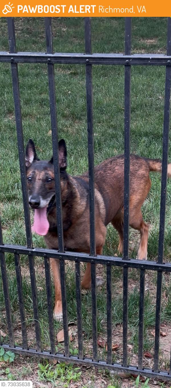 Found/Stray Unknown Dog last seen Near kings crossing, Richmond, VA 23238