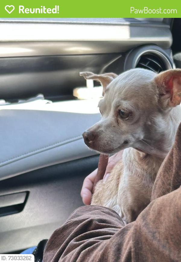 Reunited Female Dog last seen Inez st and Meyer Rd , Whittier, CA 90605