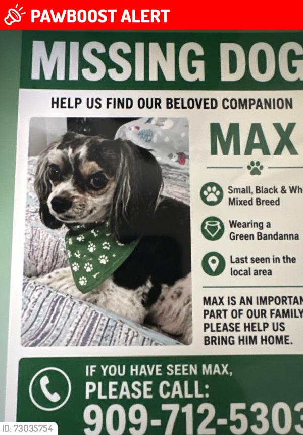 Lost Male Dog last seen Fairmont, Rancho Cucamonga, CA 91701