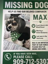 Lost Male Dog last seen Fairmont, Rancho Cucamonga, CA 91701