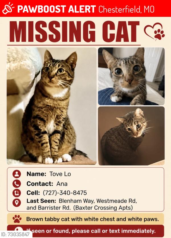 Lost Female Cat last seen Baxter crossing apts, Chesterfield, MO 63005