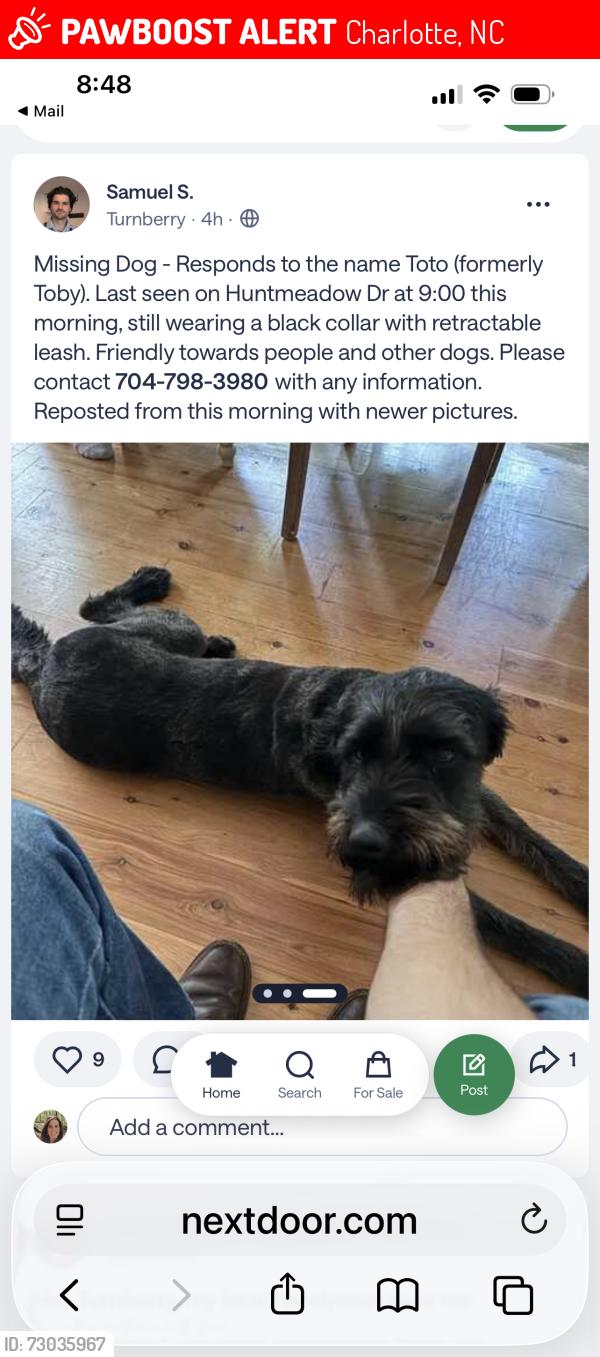 Lost Male Dog last seen Ridge road, Charlotte, NC 28269