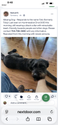 Lost Male Dog last seen Ridge road, Charlotte, NC 28269