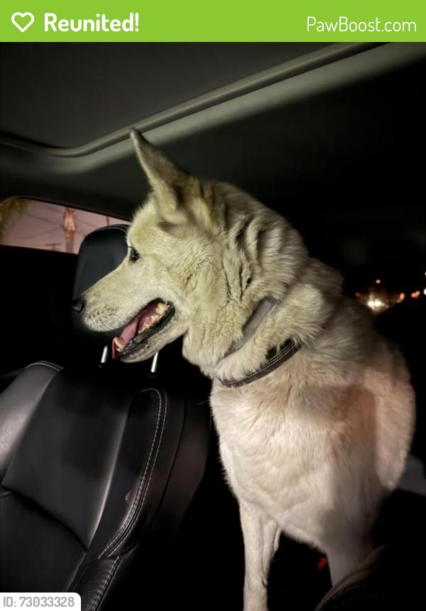 Reunited Female Dog last seen Near Luiseno Park, Oceanside, CA 92057