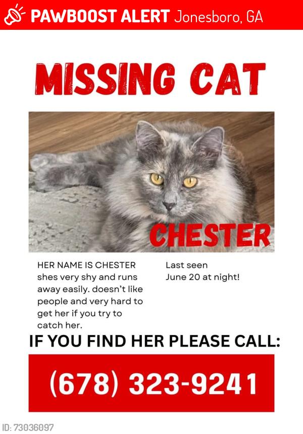 Lost Female Cat last seen Tudor Dr. Jonesboro , Jonesboro, GA 30236