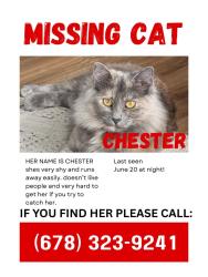 Lost Female Cat last seen Tudor Dr. Jonesboro , Jonesboro, GA 30236