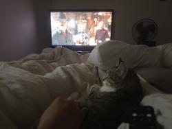 Reunited Male Cat last seen Millwoods rd , Edmonton, AB T6K