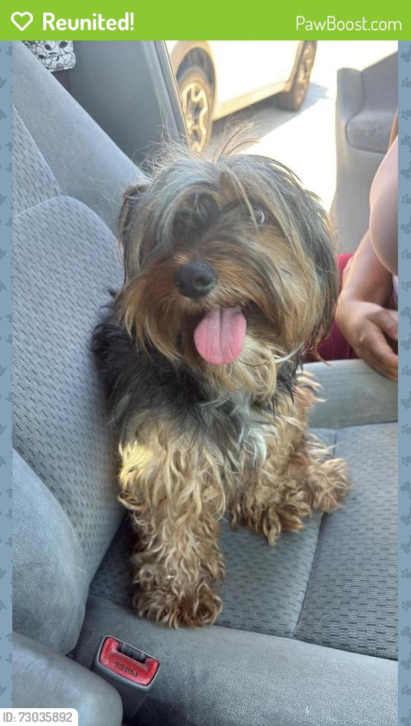 Reunited Male Dog last seen Atoka , Victorville, CA 92392