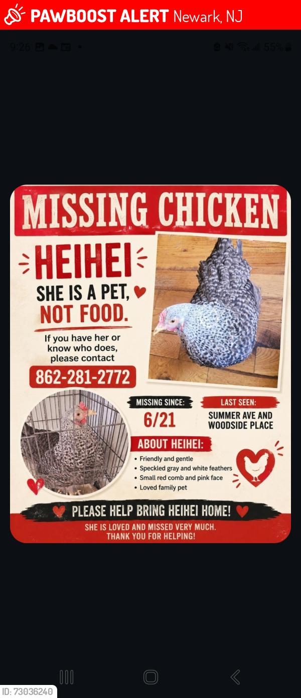 Lost Female Bird last seen Summer ave and woodside ave, Newark, NJ 07104